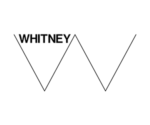 Whitney Museum